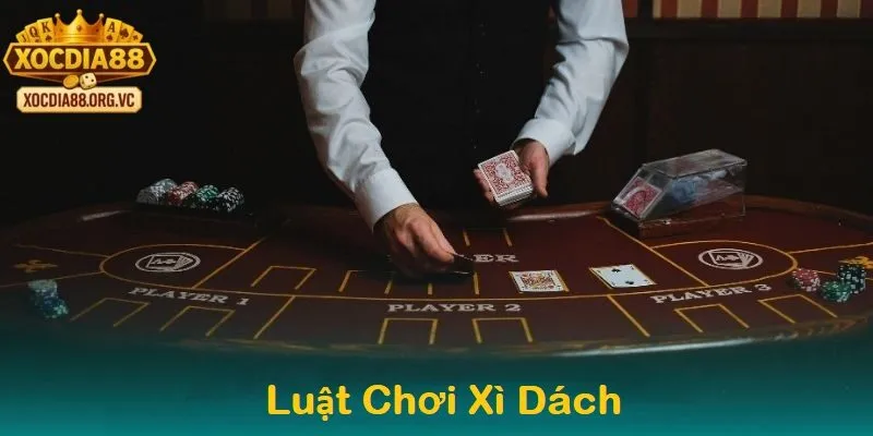 Luật chơi cơ bản và cách tính điểm trong xì dách 